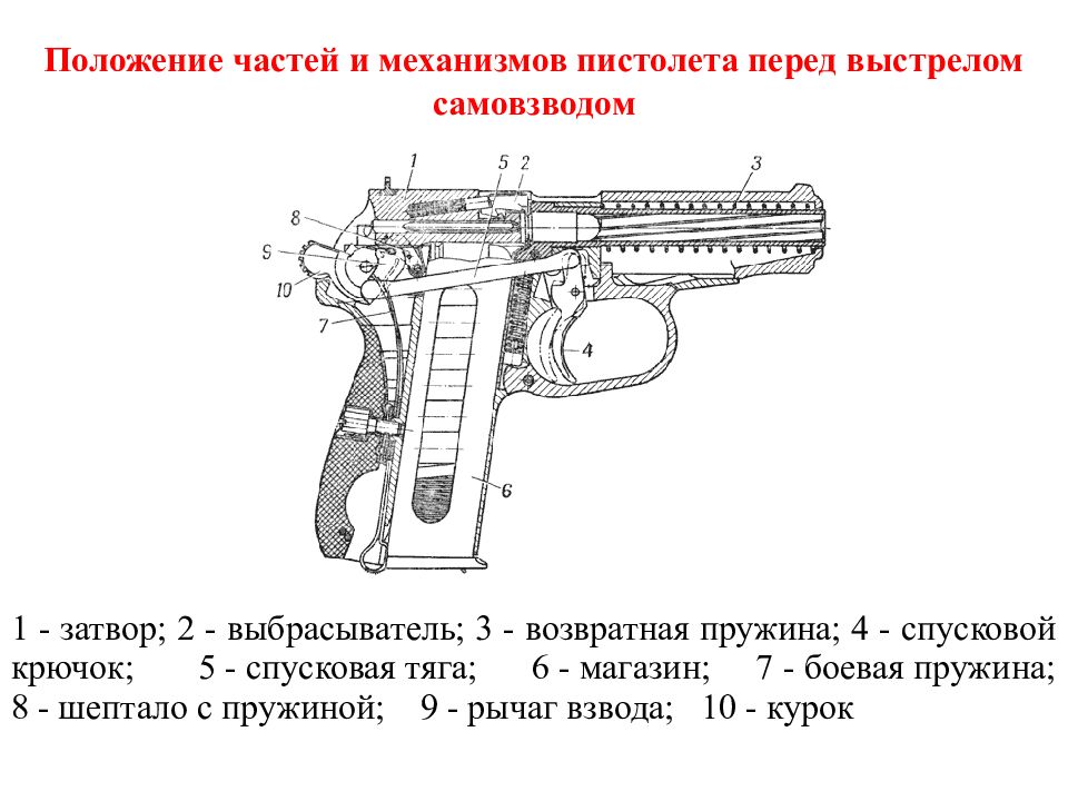 Автоматика пм. Части пистолета Макарова схема. Схема пистолета ПМ Макарова. Курок пистолета Макарова схема. Схема ПМ Макарова боевой.