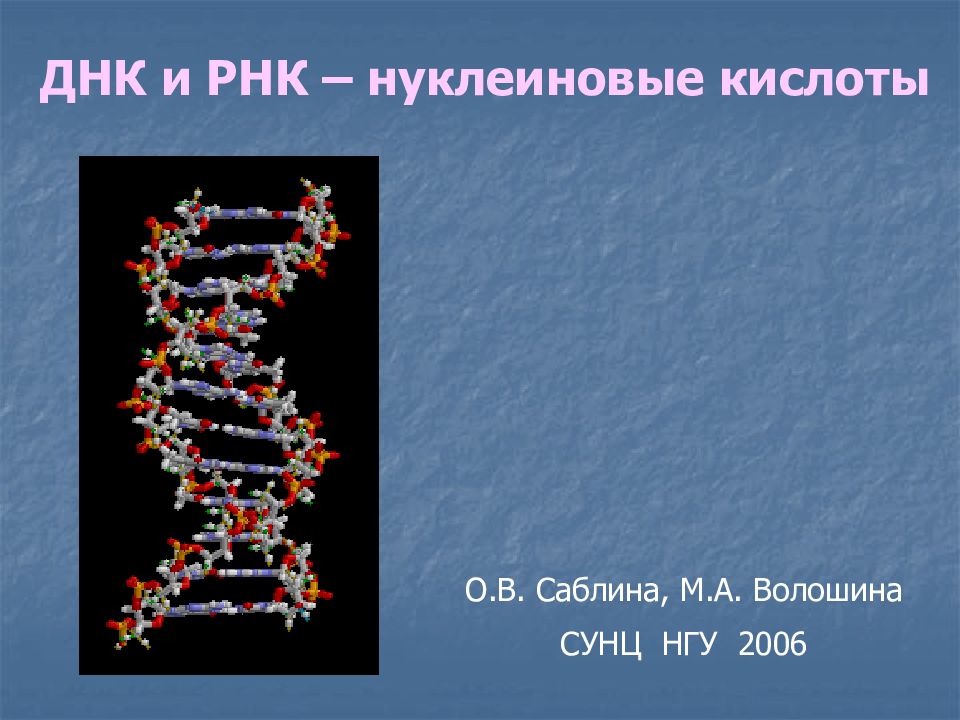 Соответствие между днк и рнк. ДНК И РНК. ИРНК. Нуклеиновые кислоты ДНК И РНК. ДНК для презентации.