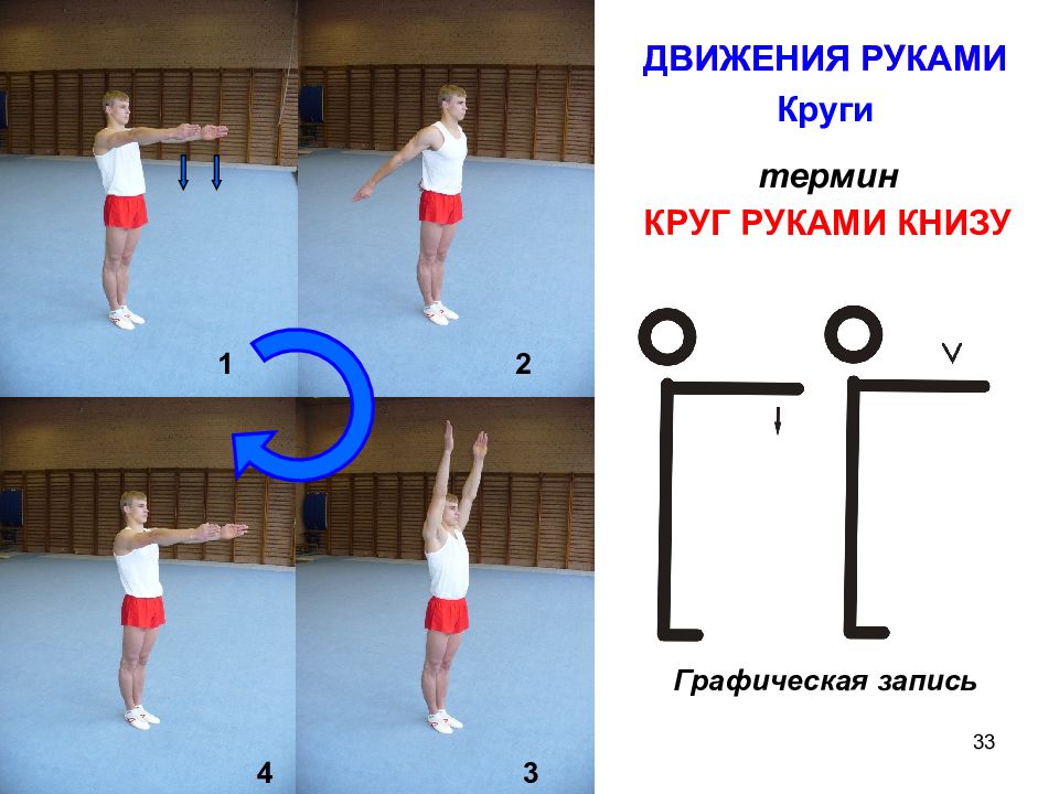 Рука термины. Круг руками книзу. Круг правой рукой книзу. Круги руками терминология. Круг руками физра.