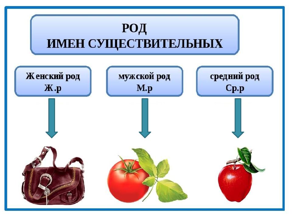 Род имен существительных 2 класс презентация