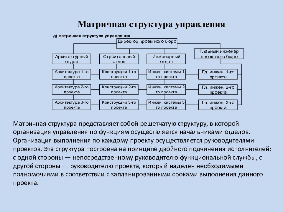 Вид организационной структуры управления проектом