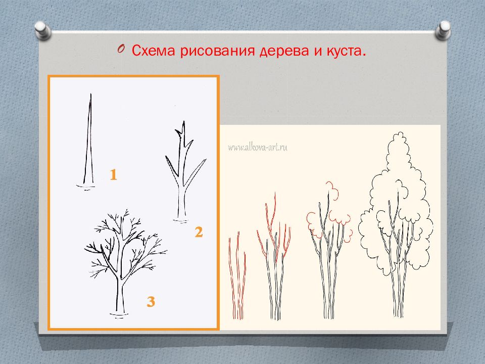 Схематический рисунок 3 класс. Схема рисования куста. Рисование деревьев и кустарников. Поэтапная схема рисования кустарника. Рисование деревья и кустарники средняя.