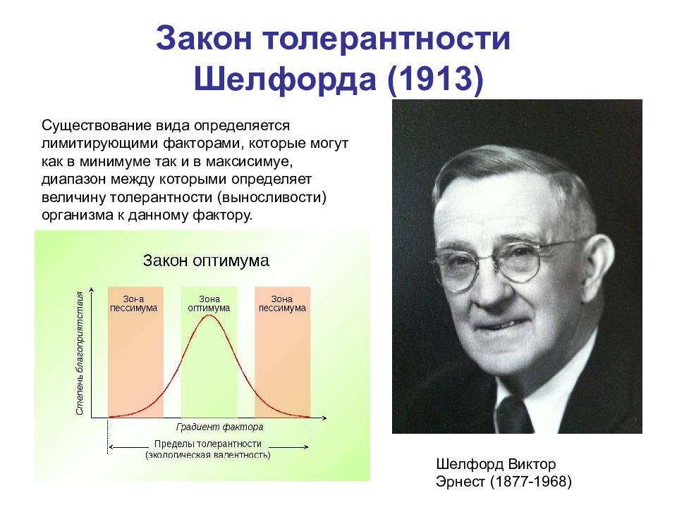 Закон толерантности. Закон толерантности Шелфорда. Эрнест Шелфорд. Закон толерантности Шелфорда 1913. Закон Шелфорда экология.