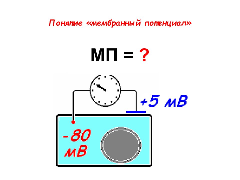 Понятие мп. Биоэлектрические явления. Биоэлектрические потенциалы физика.