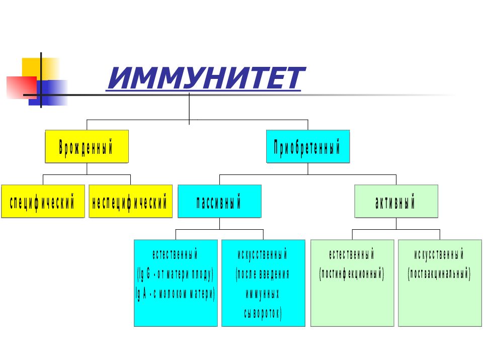 Иммунопрофилактика и иммунотерапия. Основы иммунотерапии. Иммунопрофилактика картинки.