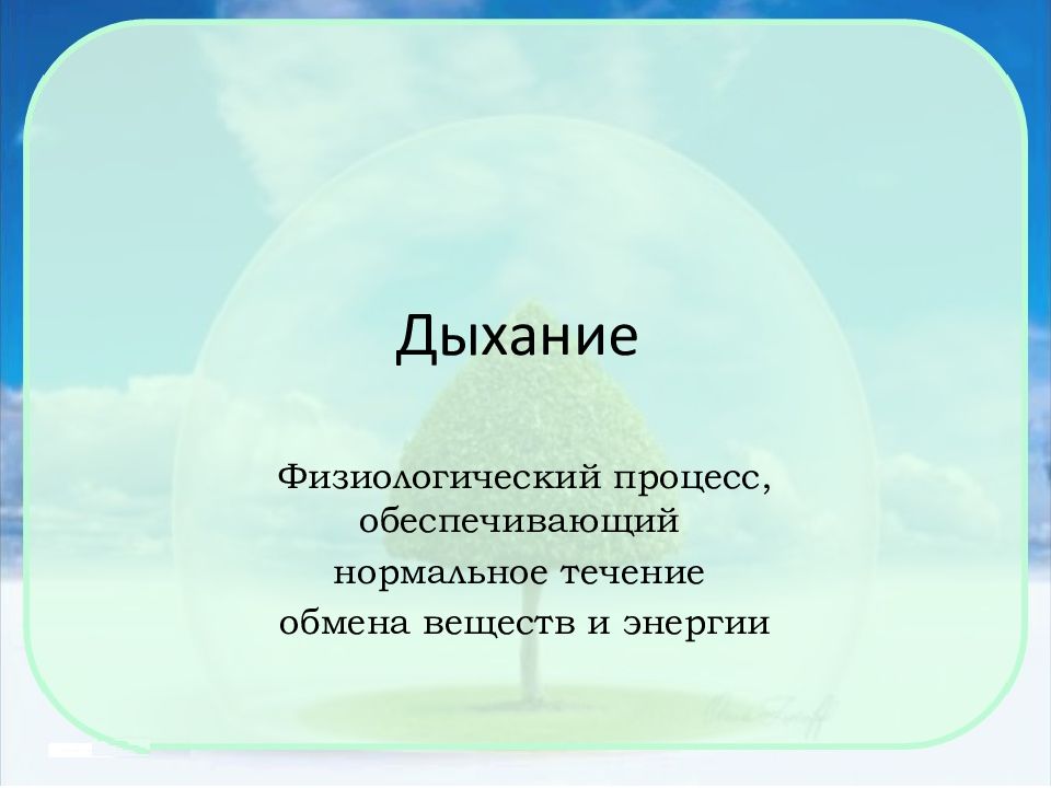 Процесс дыхания. Дыхание это физиологический процесс. Доклад 11 класс. Нормальное течение обменных процессов обеспечивается. Доклад 11 класс на любую тему.