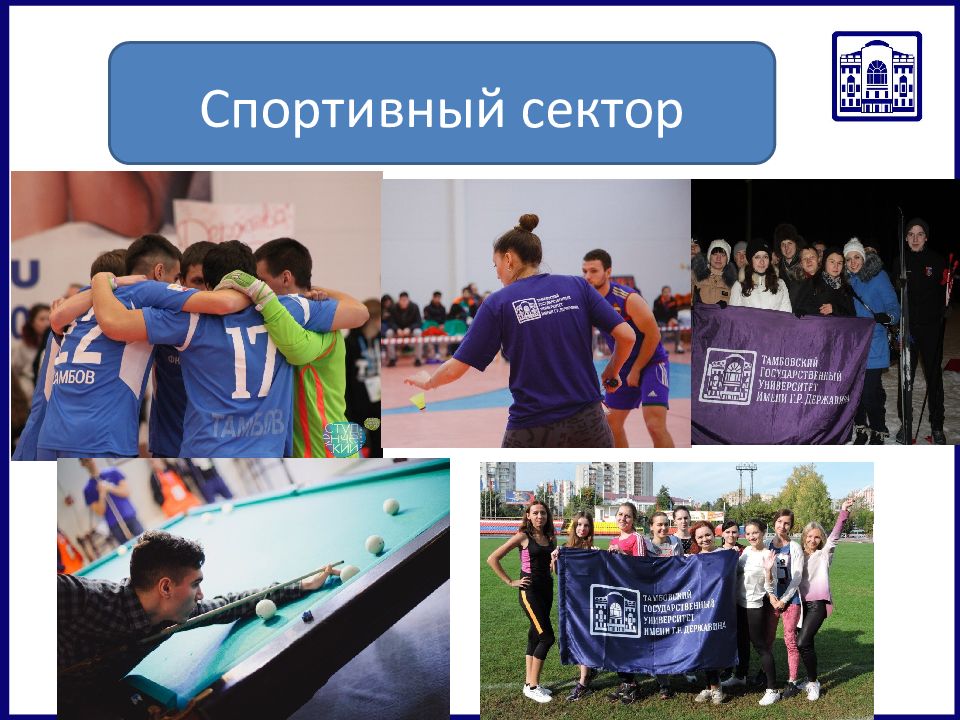 Спорт сектор