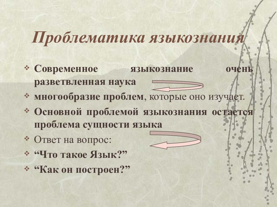 Языкознание ответы. Основные проблемы языкознания. Фундаментальные задачи языкознания. Проблематика общего языкознания. Основные проблемы общего языкознания.