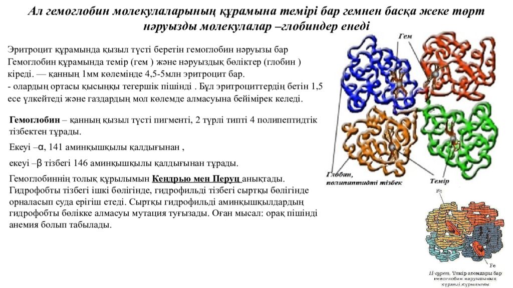 Презентация на тему гемоглобин