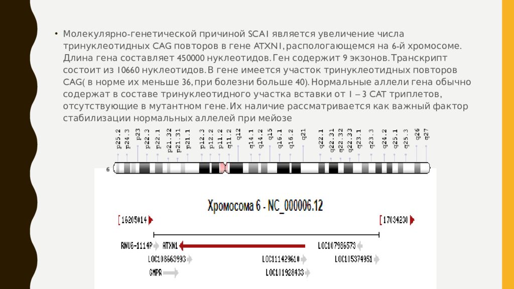 Длина гена. Транскрипт Гена это. Количество Cag повторов. Длина генов.