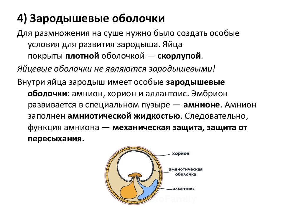 Ароморфозы пресмыкающихся