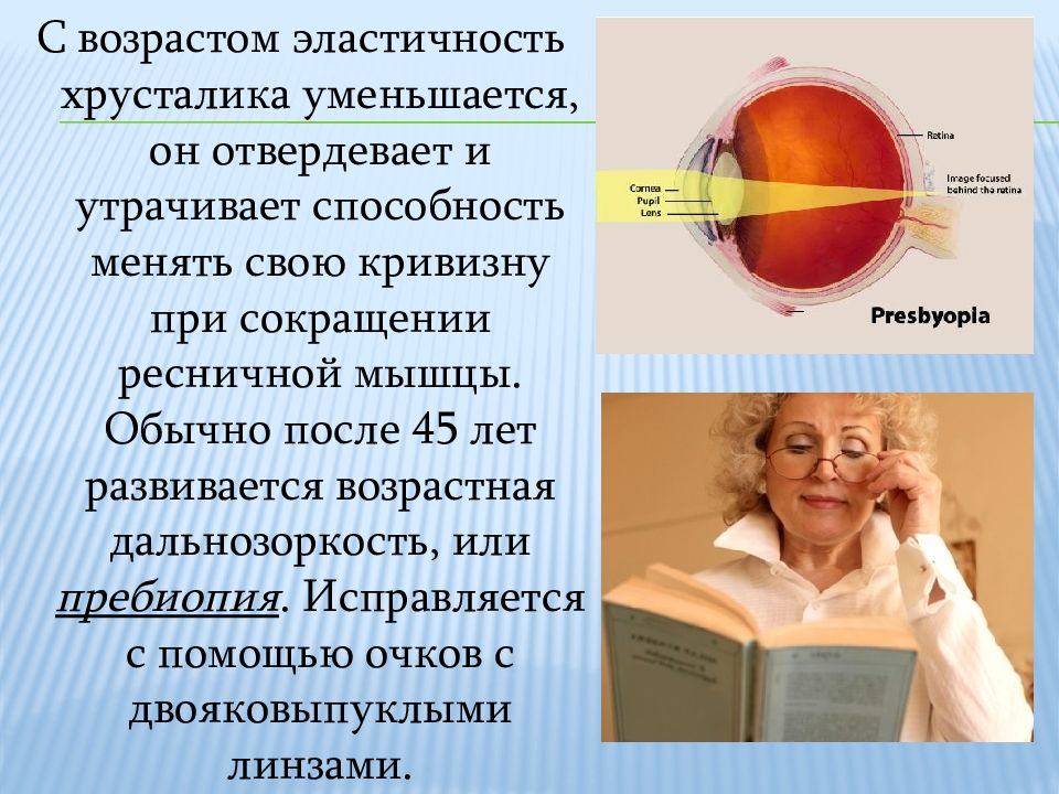 Почему людей пожилого возраста развивается возрастная дальнозоркость