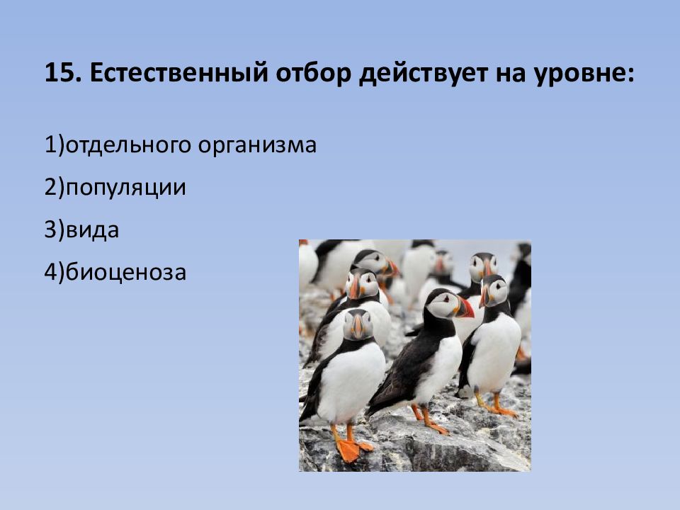 Естественный отбор действующий. Естественный отбор действует на уровне. Естественный отбор действует на уровне отдельного организма. Естественный отбор в популяции. Естественный отбор действует на уровне 1 отдельного.