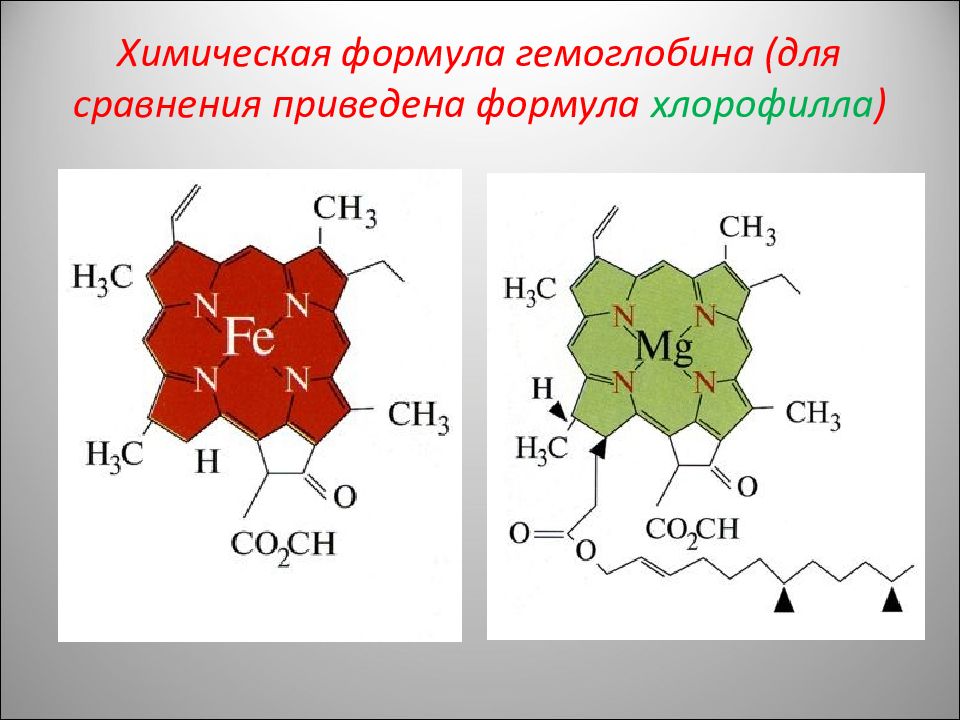 Химическая формула железа. Молекула гемоглобина формула. Химическая структура гемоглобина формула. Хлорофилл хим формула. Хлорофилл формула химическая.