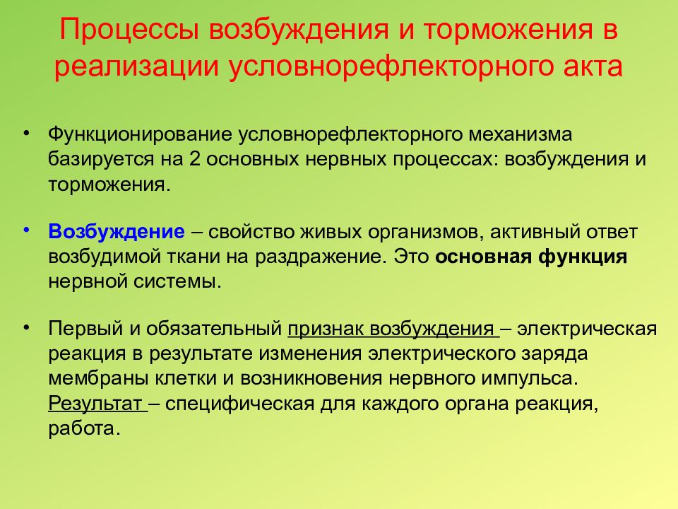 Нервные процессы. Процессы возбуждения и торможения. Соотношение процессов возбуждения и торможения. Процессы возбуждения и торможения в ЦНС кратко. Взаимоотношения между процессами возбуждения и торможения.