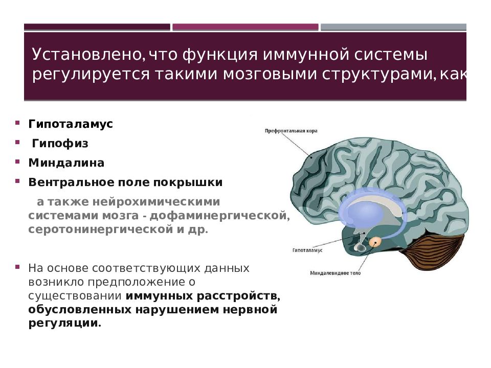 Нервно эндокринные расстройства