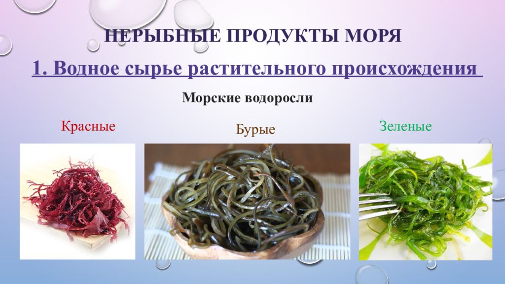 Водное сырье. Нерыбные продукты моря. Нерыбное водное сырье растительного происхождения. Нерыбные продукты моря классификация. Классификация нерыбного сырья.