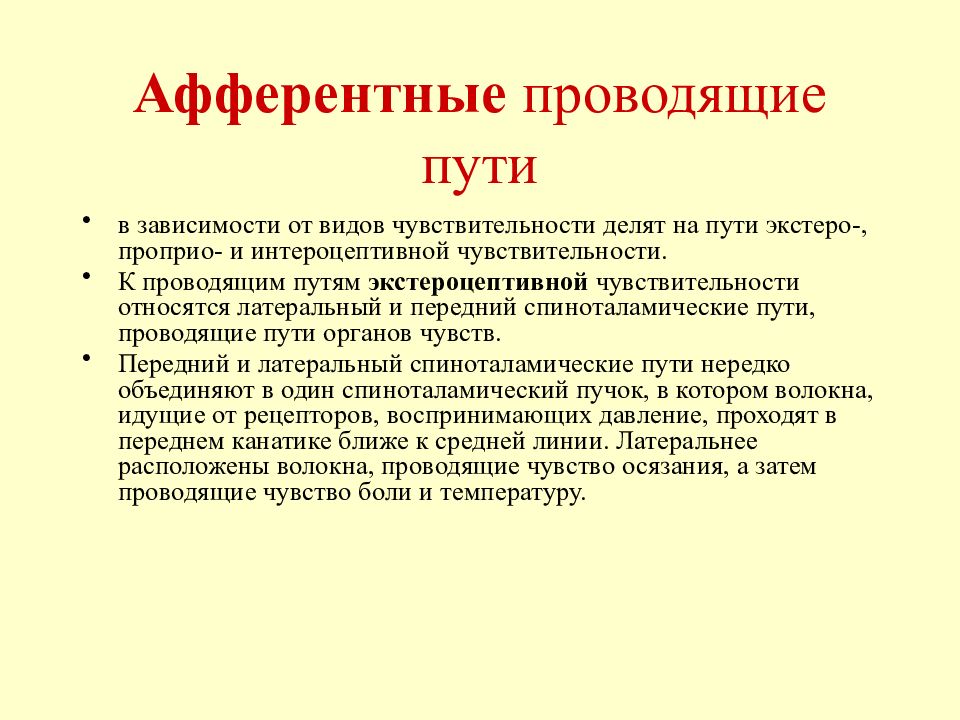 Путем экс. Афферентные проводящие пути. Афферентные пути разделяют на. Сознательные афферентные проводящие пути. Афферентный путь функции.