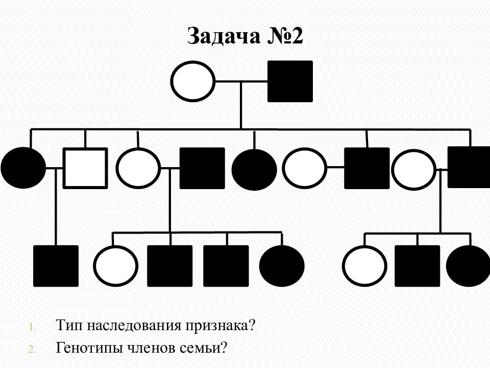 Проект изучение наследования признаков леворукости в семье