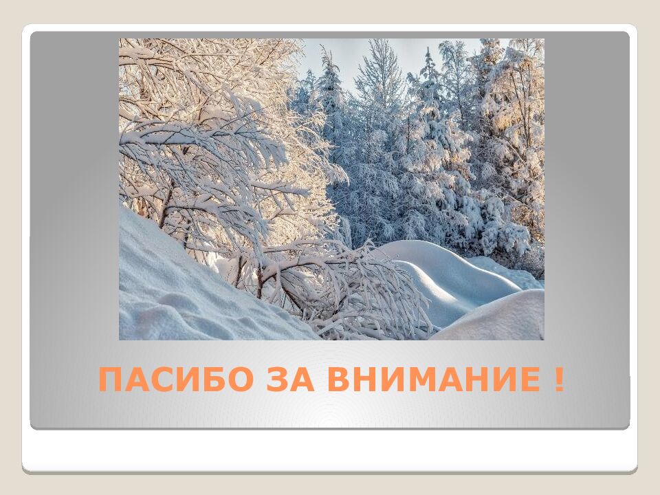 ПАСИБО ЗА ВНИМАНИЕ !