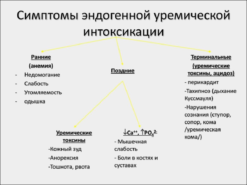 Уремическая кома презентация