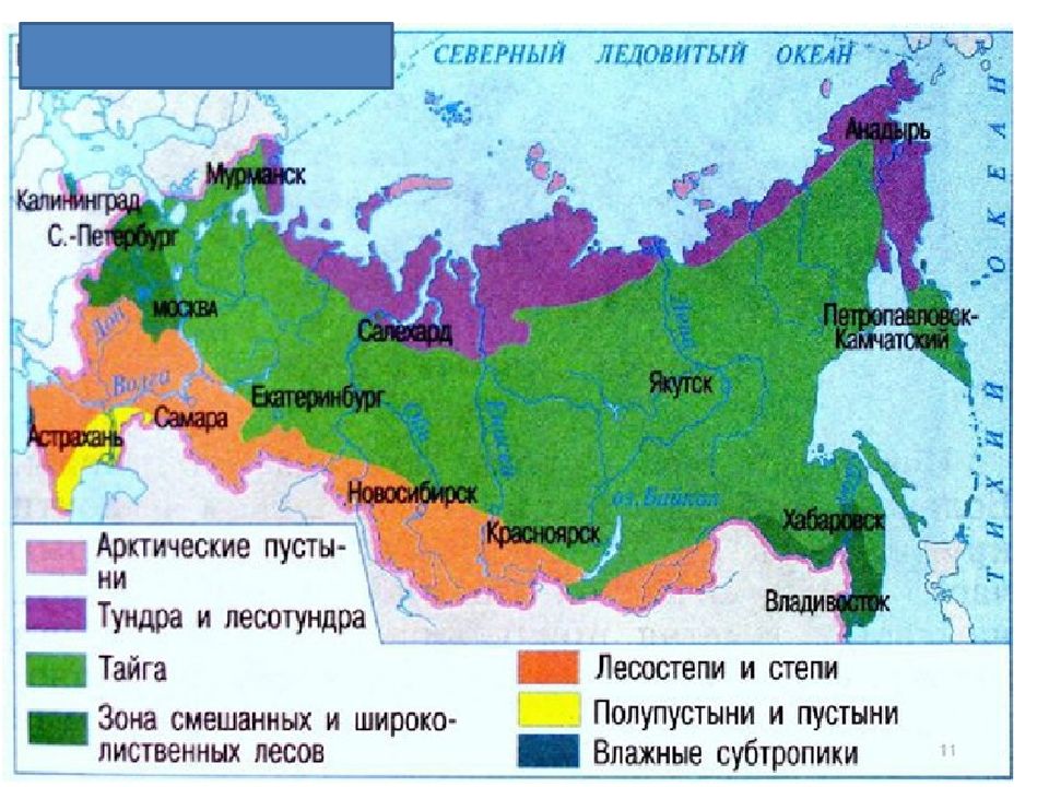 Карта впр по окружающему миру 4 класс