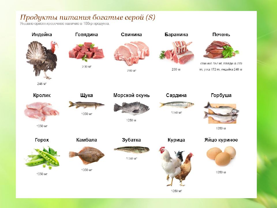 В каких продуктах содержится коллаген