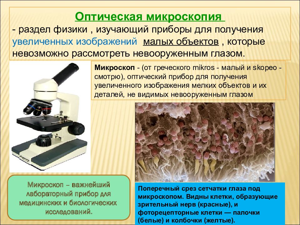 Образец специально подготовленный для изучения невооруженным глазом это