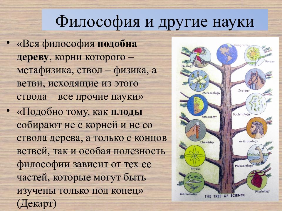 Философия наука жизни. Дерево философии. Дерево философия и наук. Дерево философов. Философия как дерево.