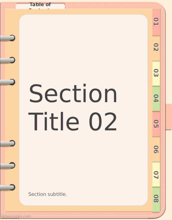 Section Title 02