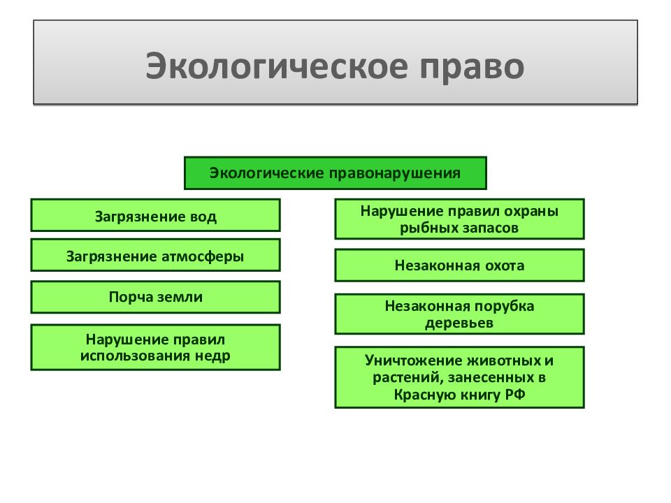 Экологическое законодательство находится