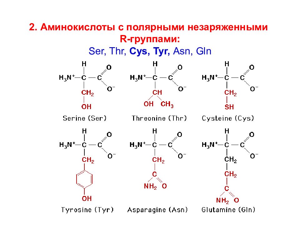 Как пить аминокислоты