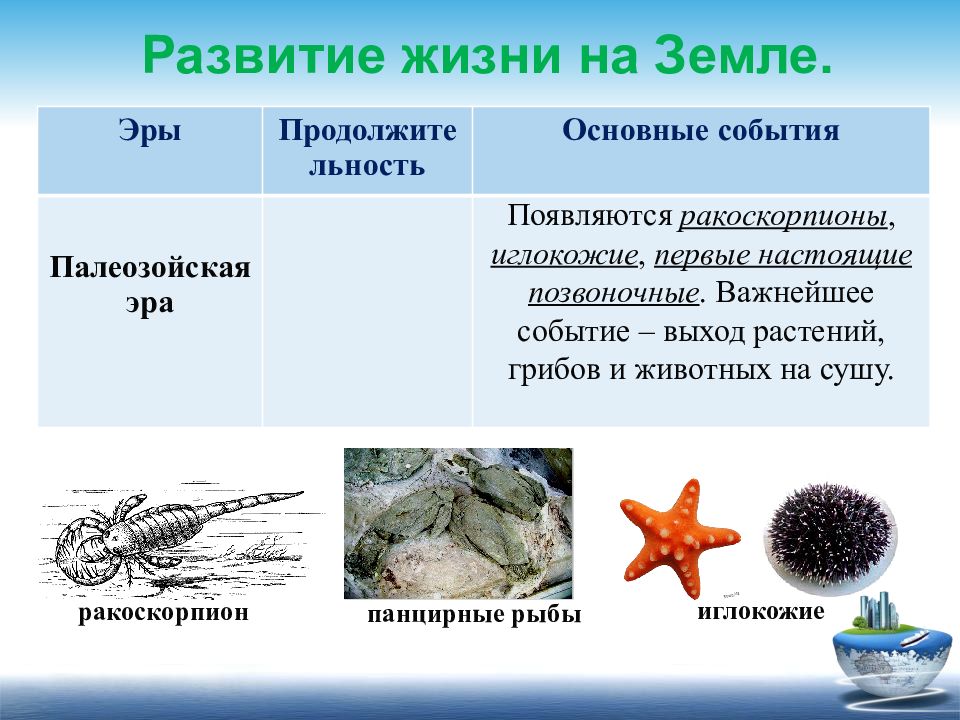 Происхождение и развитие жизни на земле 9 класс презентация