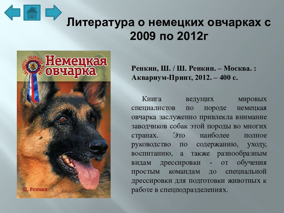 Документы немецкой овчарки. Немецкая овчарка презентация. Немецкая овчарка характеристика. Рассказ про собаку овчарку. Краткое сообщение про немецкую овчарку.