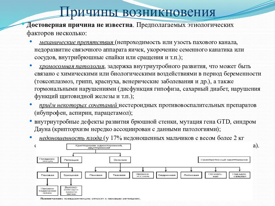 Крипторхизм у детей презентация