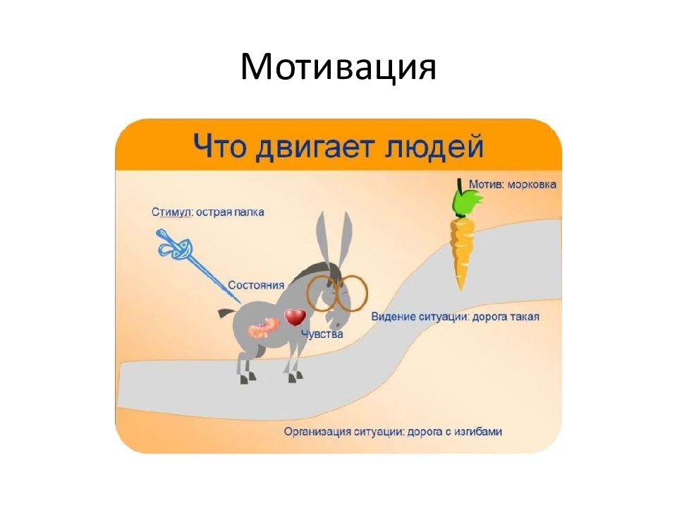 Опыт мотивация. Мотивация к цели. Мотивация на достижение цели. Мотивация достижений схема. Как достичь цели мотивация.