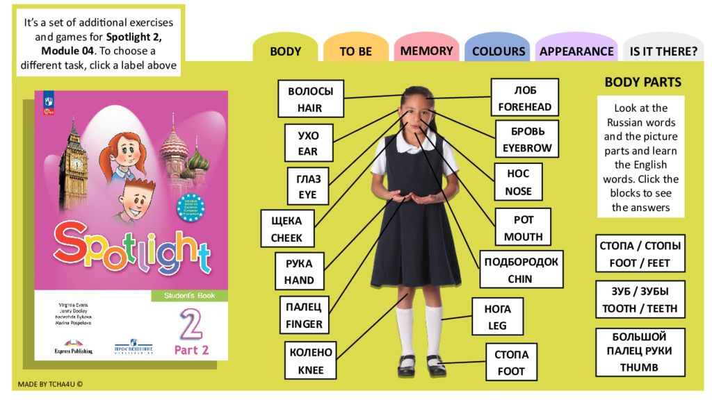 Made by tcha4u © BODY To be Memory COLOURs Appearance Is it there? It’s a set
