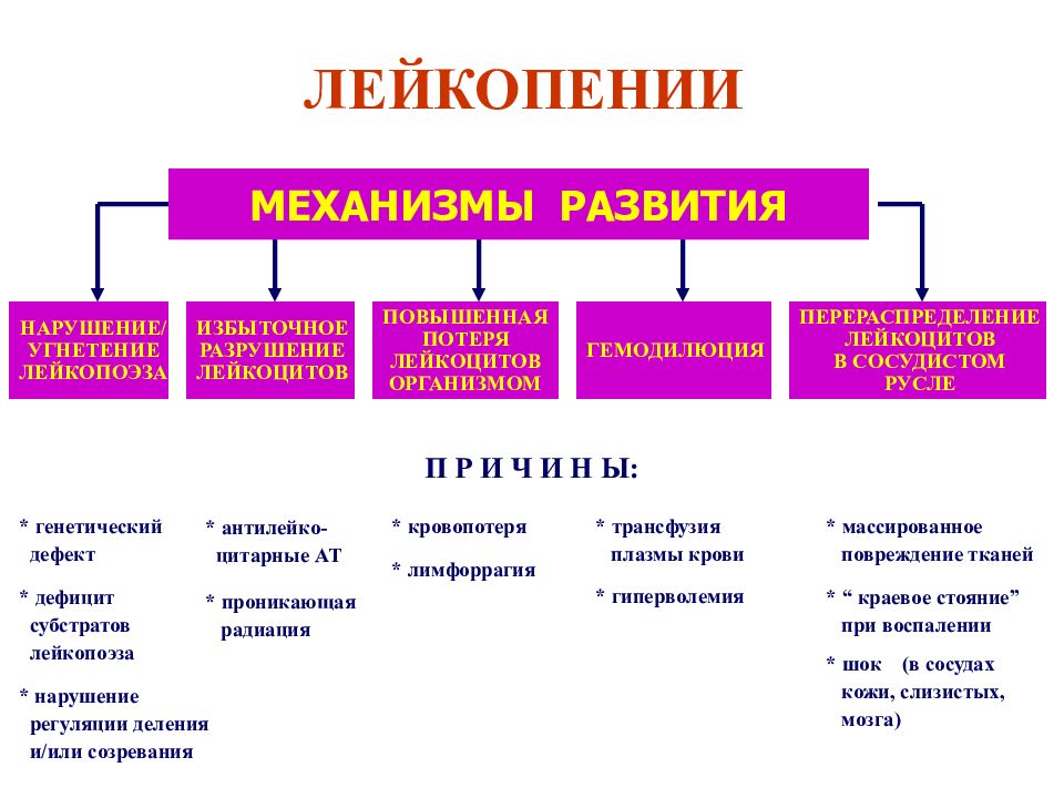 Причины механизмы развития. Механизм развития лейкопении. Лейкопения механизм развития патофизиология. Лейкопении, причины, механизмы развития.. Патогенез лейкопении патофизиология.