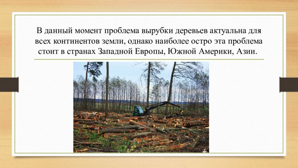 Вырубка лесов пути решения. Вырубка лесов презентация. Презентация на тему массовое сведение лесов. Вырубка леса доклад. Последствия вырубки деревьев.