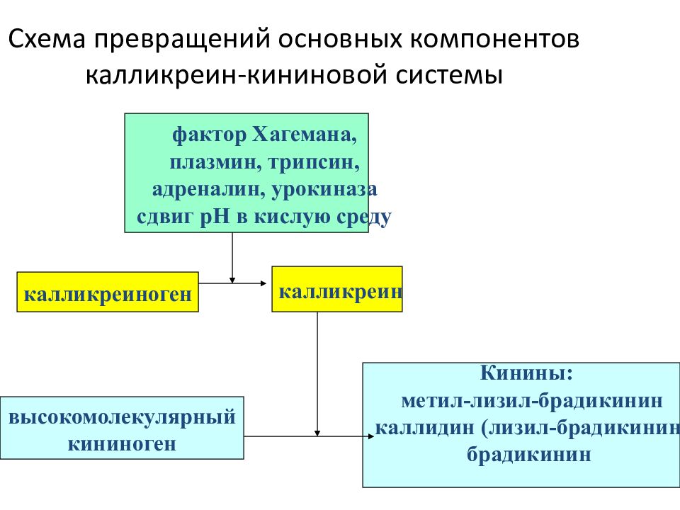 Система фактор. Компоненты кининовой системы. Компоненты калликреин-кининовой системы. Фактор Хагемана. Активированный фактор Хагемана.