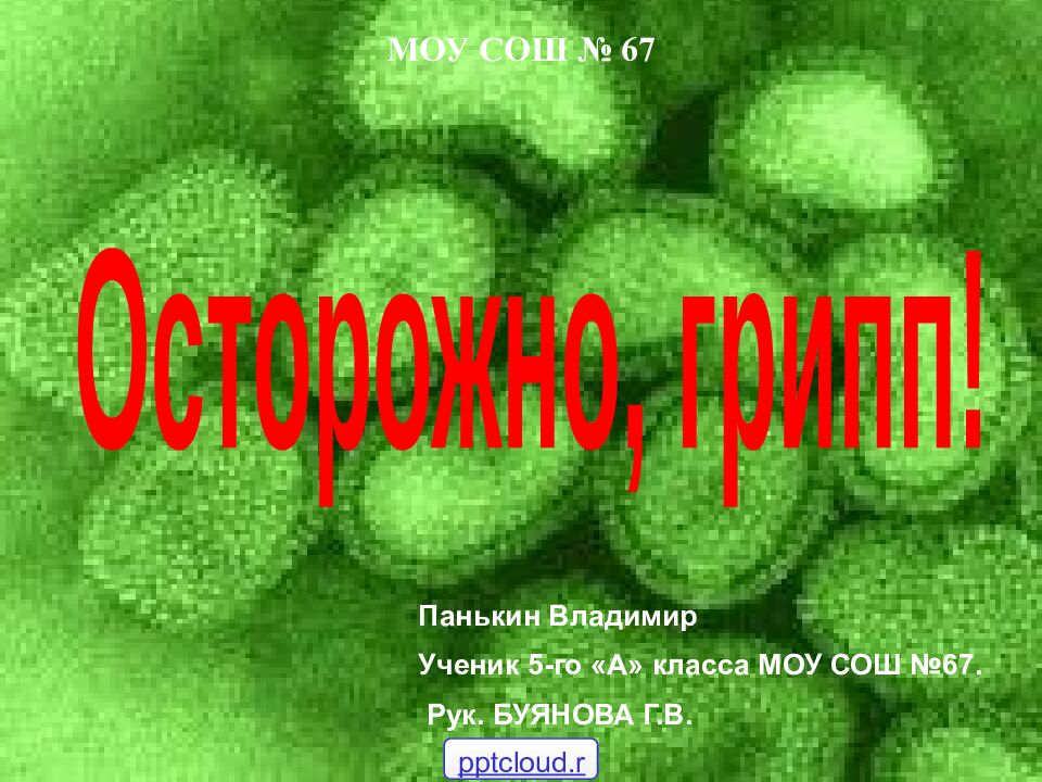 Панькин Владимир Ученик 5-го «А» класса МОУ СОШ №67. Рук. БУЯНОВА Г.В. МОУ СОШ