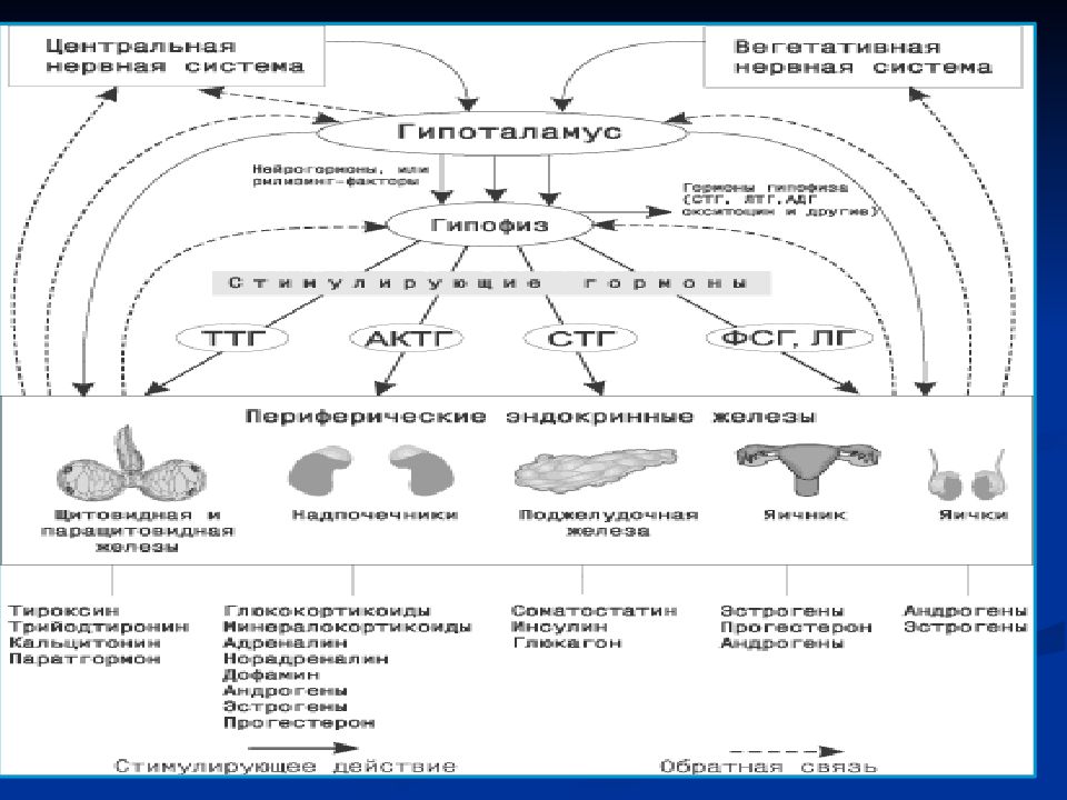 Схема блокируй замещай при тиреотоксикозе