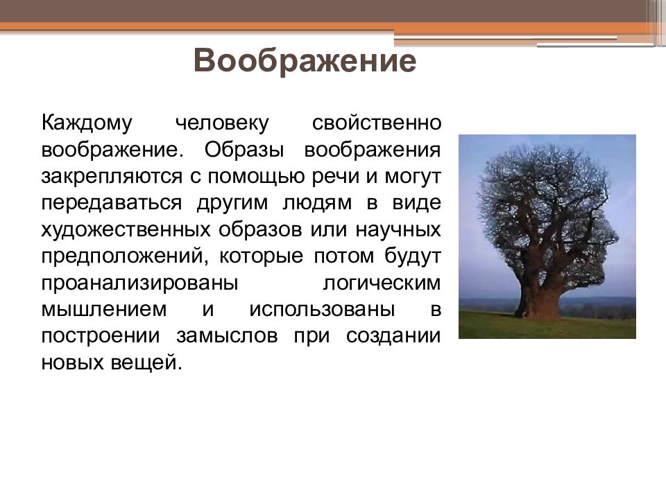 Презентация на тему особенности высшей нервной деятельности человека речь и сознание