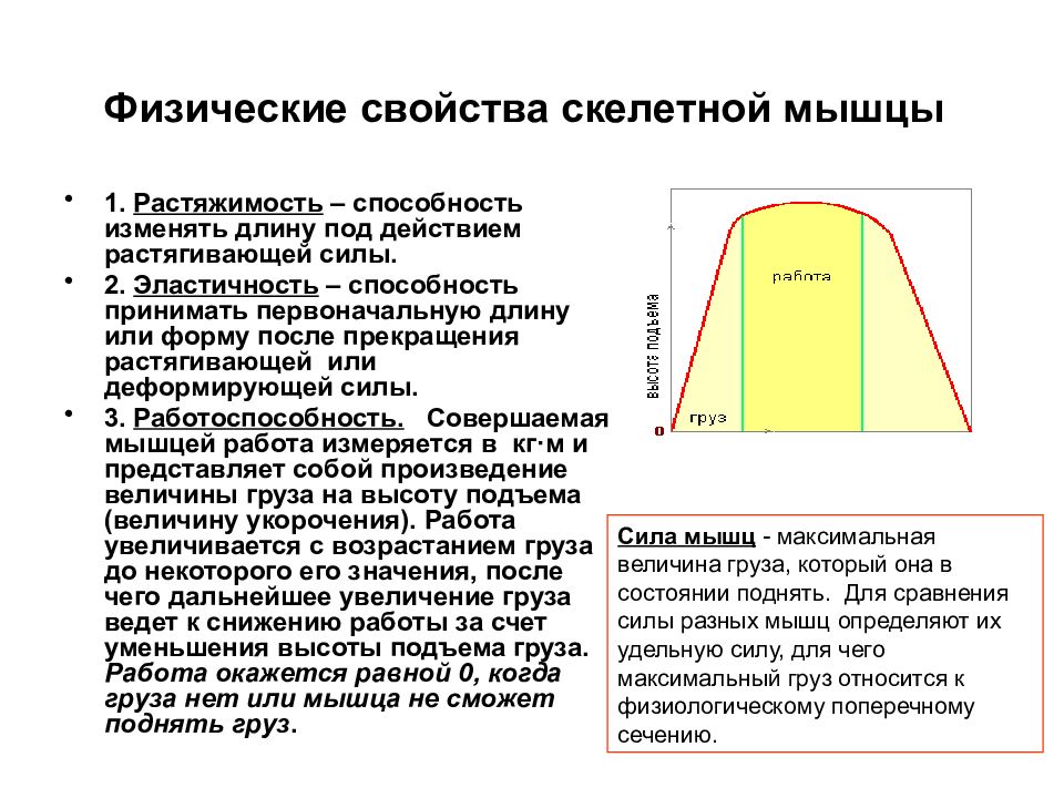 Эластичность способность. Физические свойства скелетных мышц. Растяжимость это в физиологии. Физические свойства сердца: Растяжимость – эластичность –. Физиологические свойства скелетных мышц.