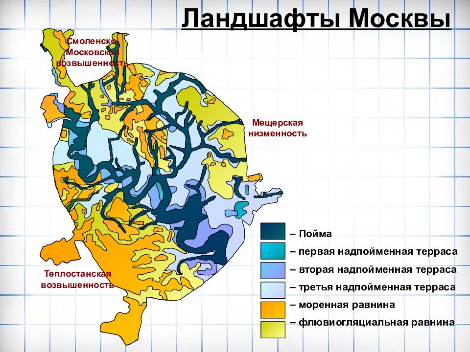 Смоленско московская возвышенность презентация