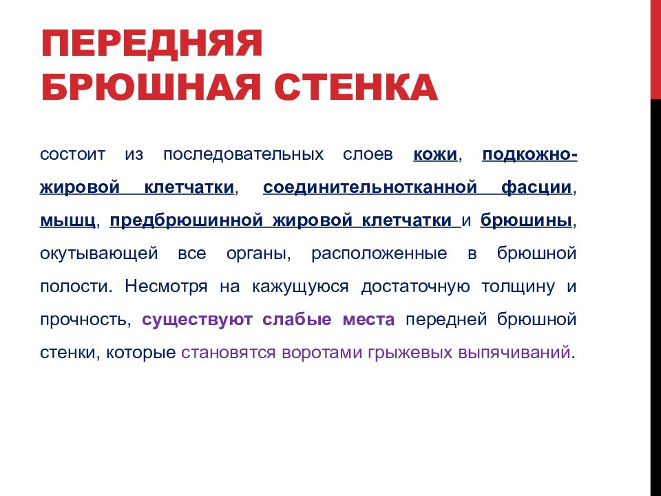 Слабые места передней брюшной. Слабые места стенок брюшной полости. Слабые места брюшной стенки. Укажите слабые места в стенках брюшной полости:.