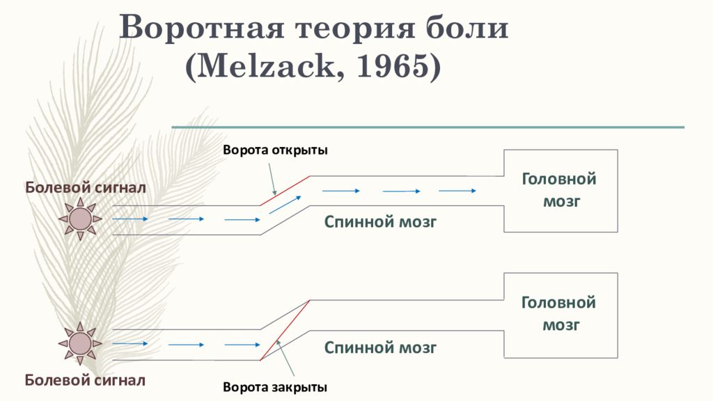 Теория контроля