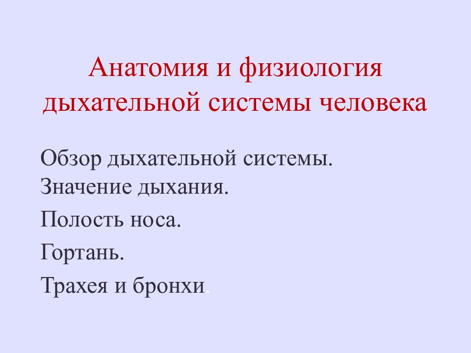 Презентация анатомия и физиология органов дыхания