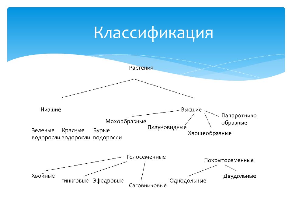 Систематика растений изучает. Систематика растений схема полная. Классификация растительного мира схема.