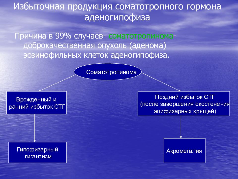 Избыток продуктов. Патологии соматотропного гормона. Гипофункция аденогипофиза патофизиология. Избыточная секреция соматотропина. Гормоны аденогипофиза патофизиология.